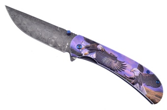3d Eagle Aluminum Assisted Open