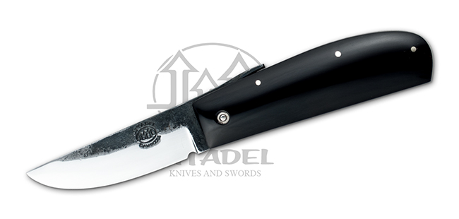 Phan Thiet Friction Folder - Horn Scales
