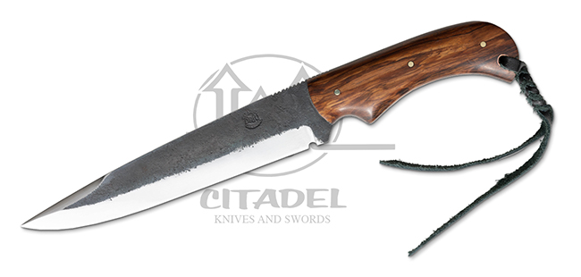 Javelina - Rosewood