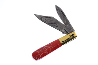 Michael Prater Hen + Rooster Red Dinosaur Damascus Barlow